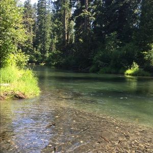 Meet your Posher, Cody